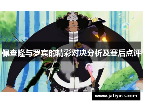 佩查隆与罗宾的精彩对决分析及赛后点评